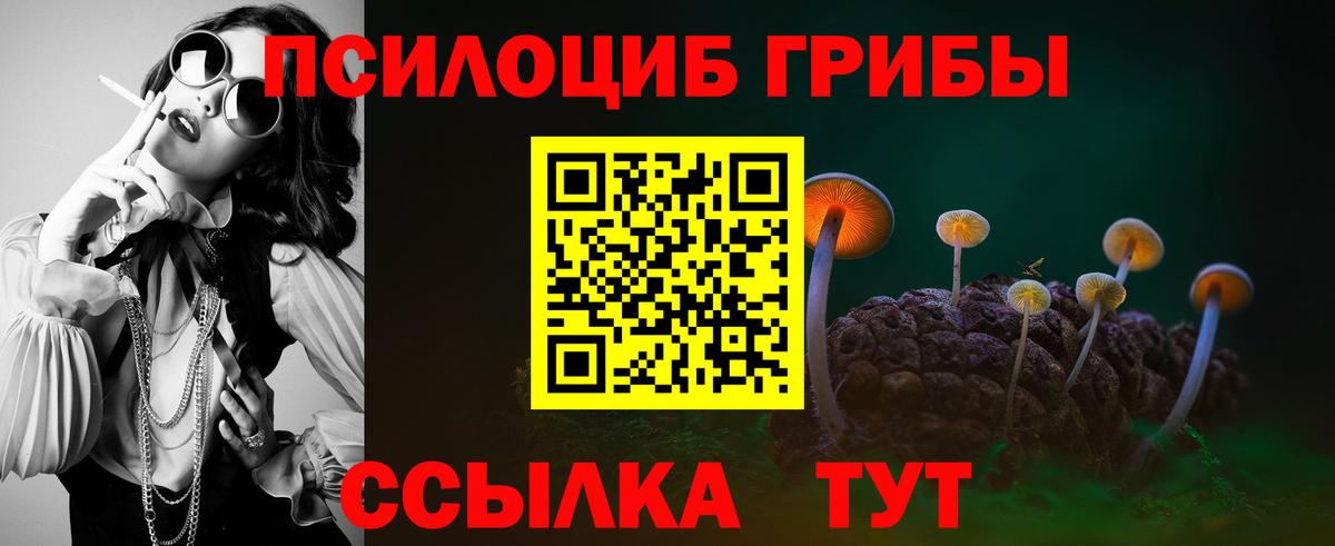 Россия  Псилоцибиновые грибы мицелий  Вход с VPN  Псилоцибиновые грибы Magic Shrooms 